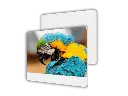 Untitled design (18).webp